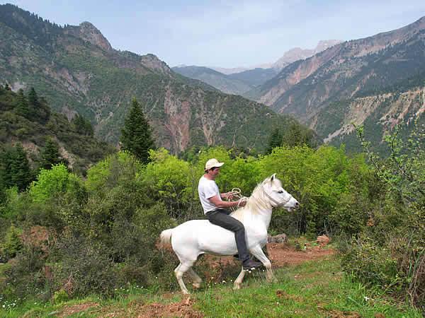 Отель To Panorama Agrafa Экстерьер фото